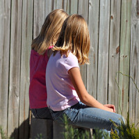 should siblings be placed together in foster care